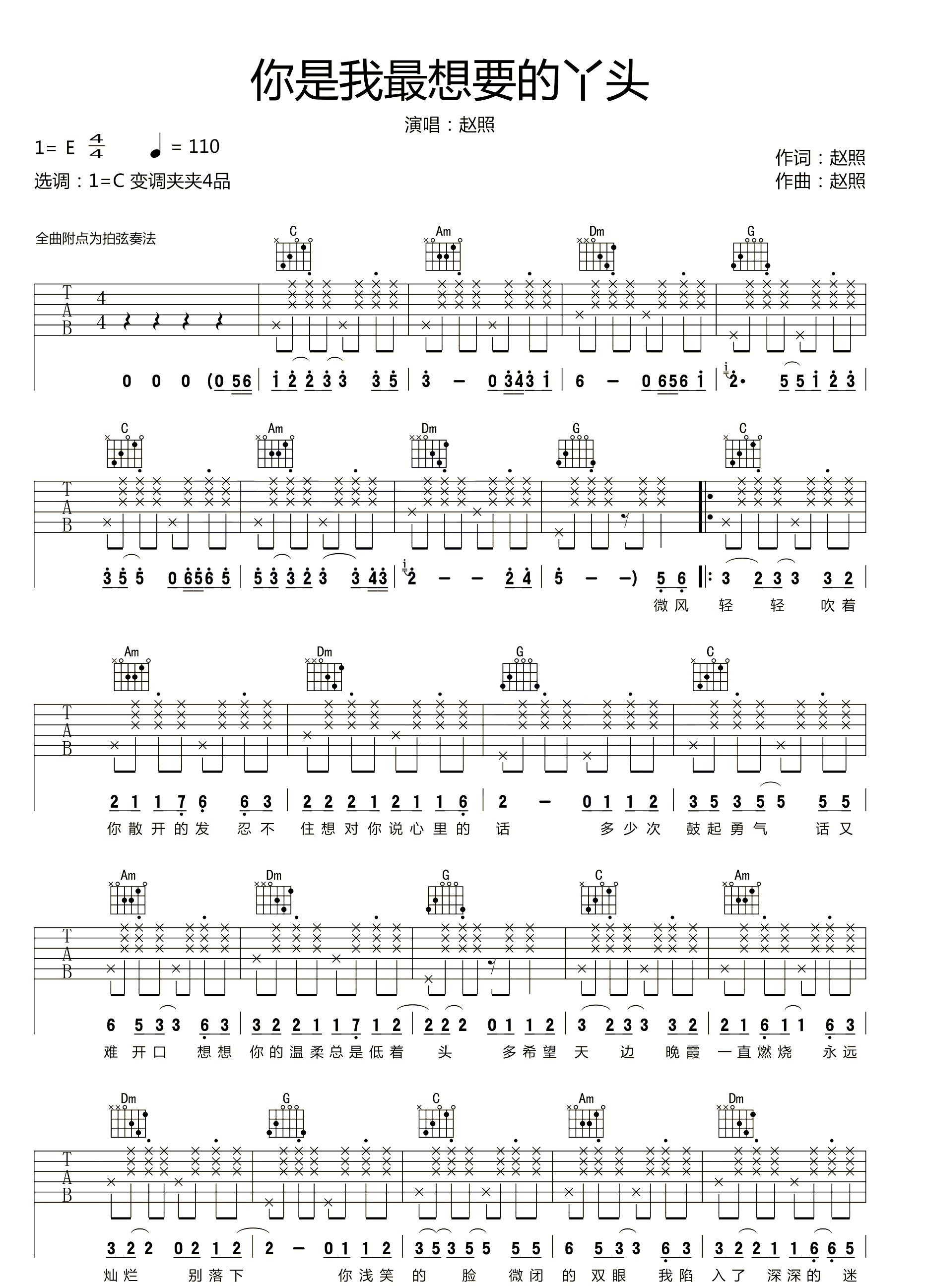 你就是我最想要的丫头吉他谱_赵照_C调原版