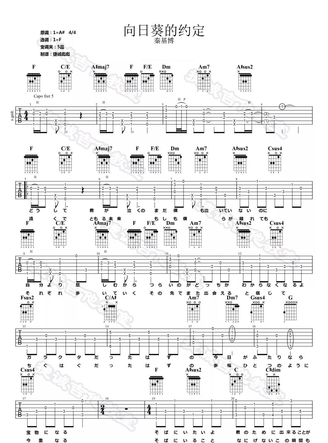 向日葵的约定吉他谱_秦基博_F调原版编配