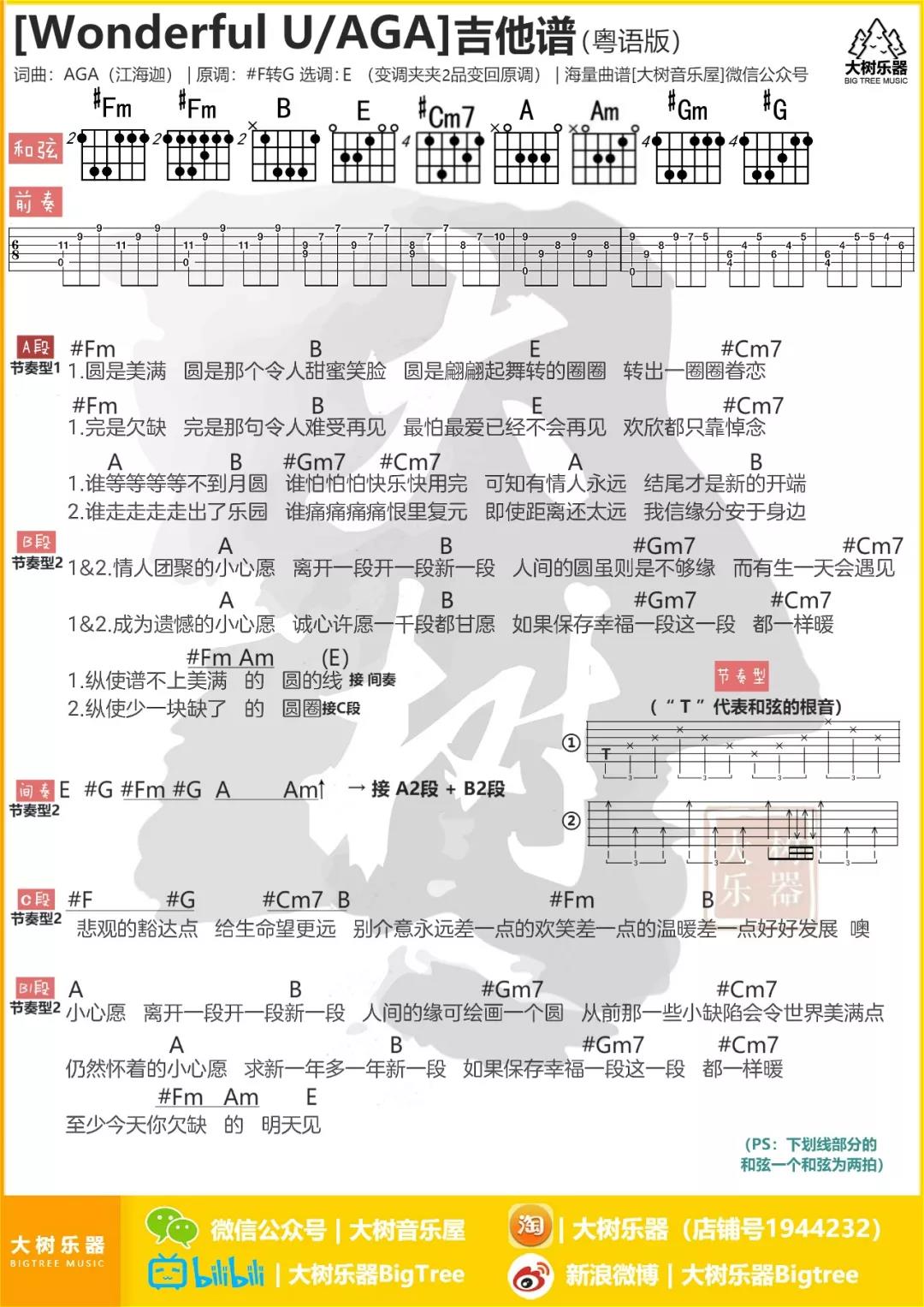 Wonderful U吉他谱_AGA江海迦_WonderfulU_大树音乐屋_E调