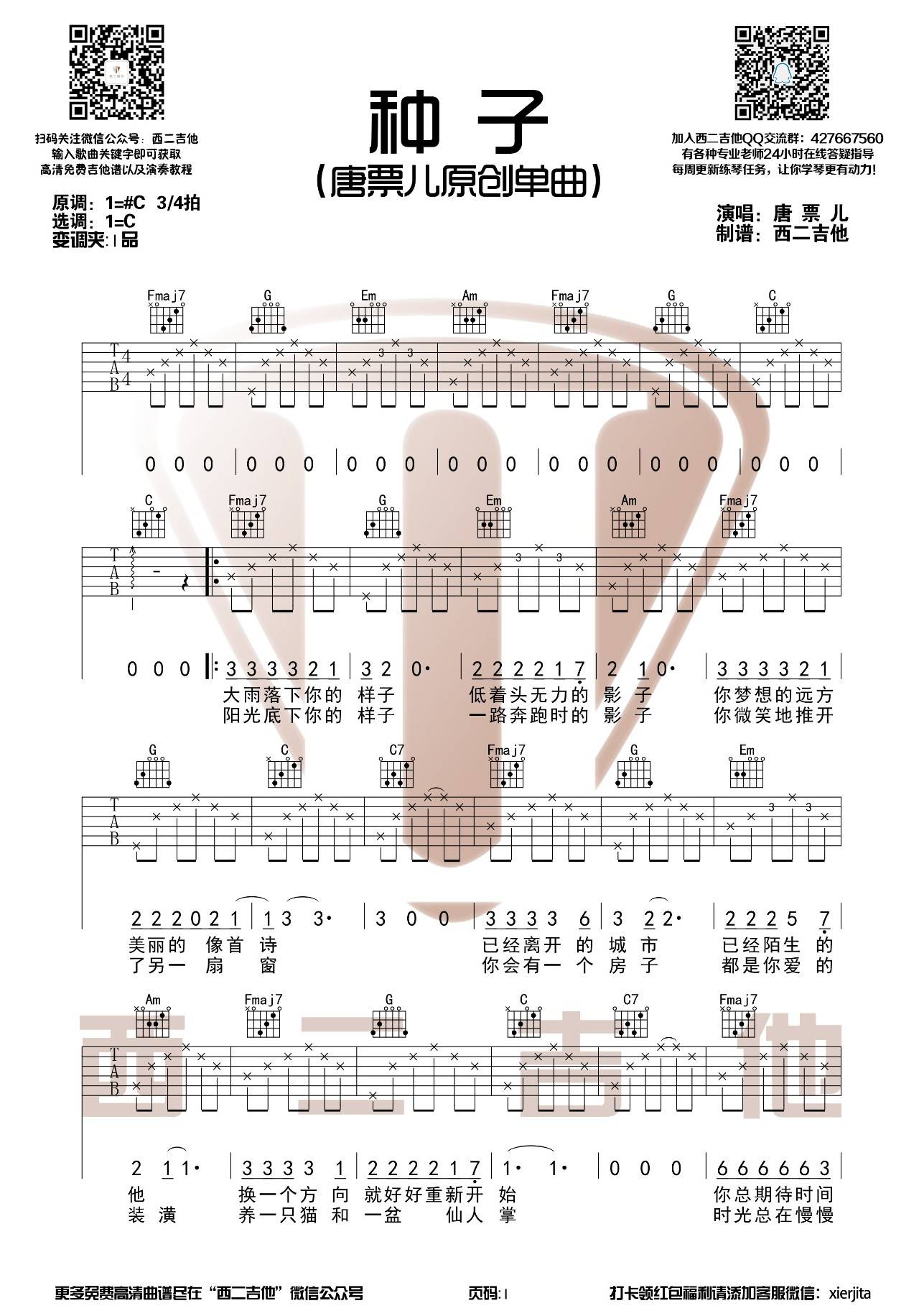 种子吉他谱_唐票儿_西二吉他_C调