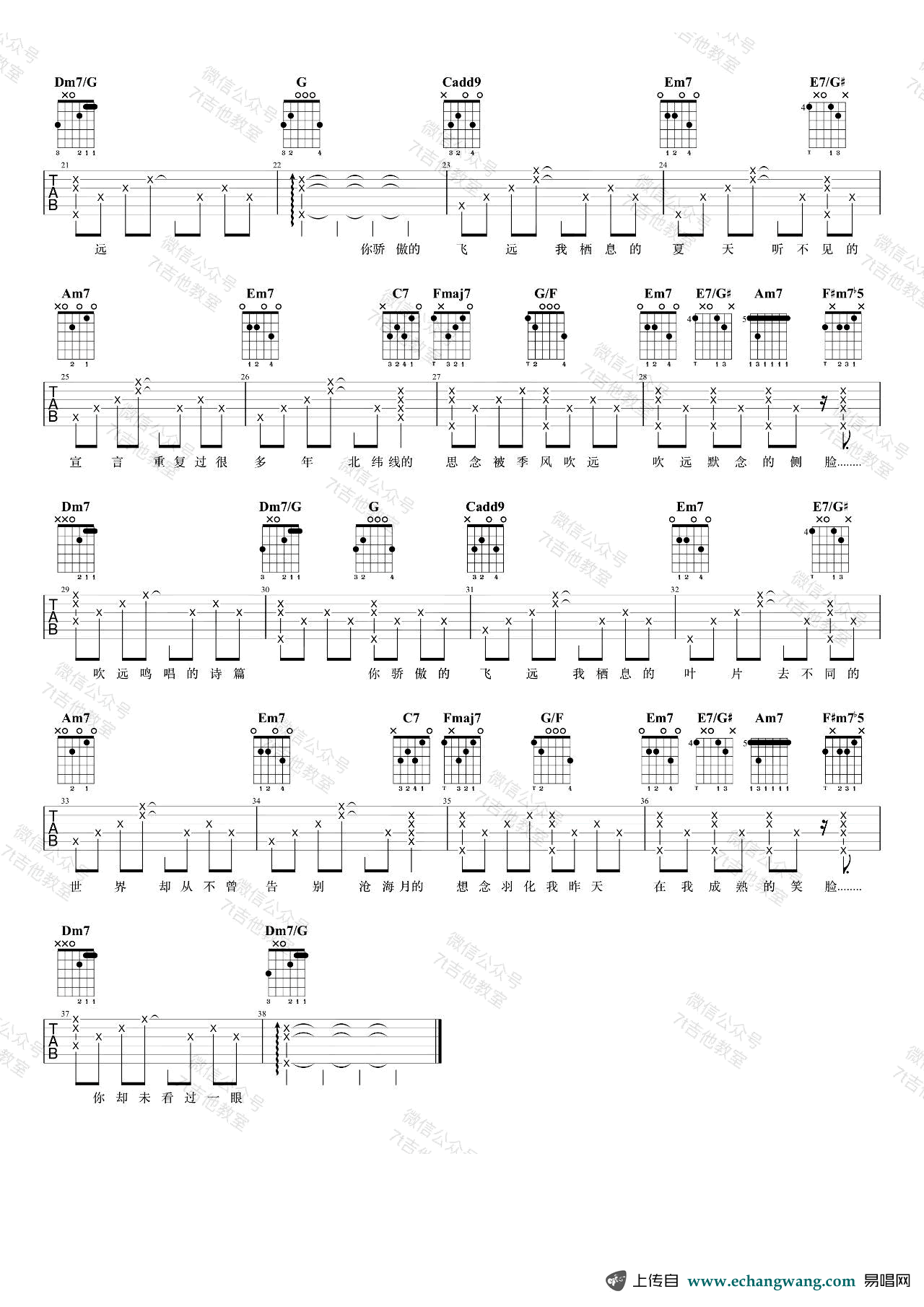 飞鸟和蝉吉他谱_任然_C调_7T吉他教室