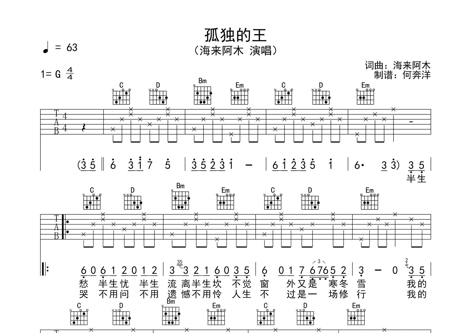 孤独的王吉他谱_海来阿木_飞韵吉他_G调 