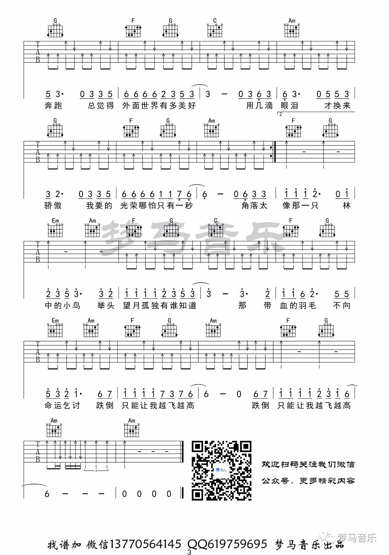 林中鸟吉他谱_葛林_梦马音乐_C调