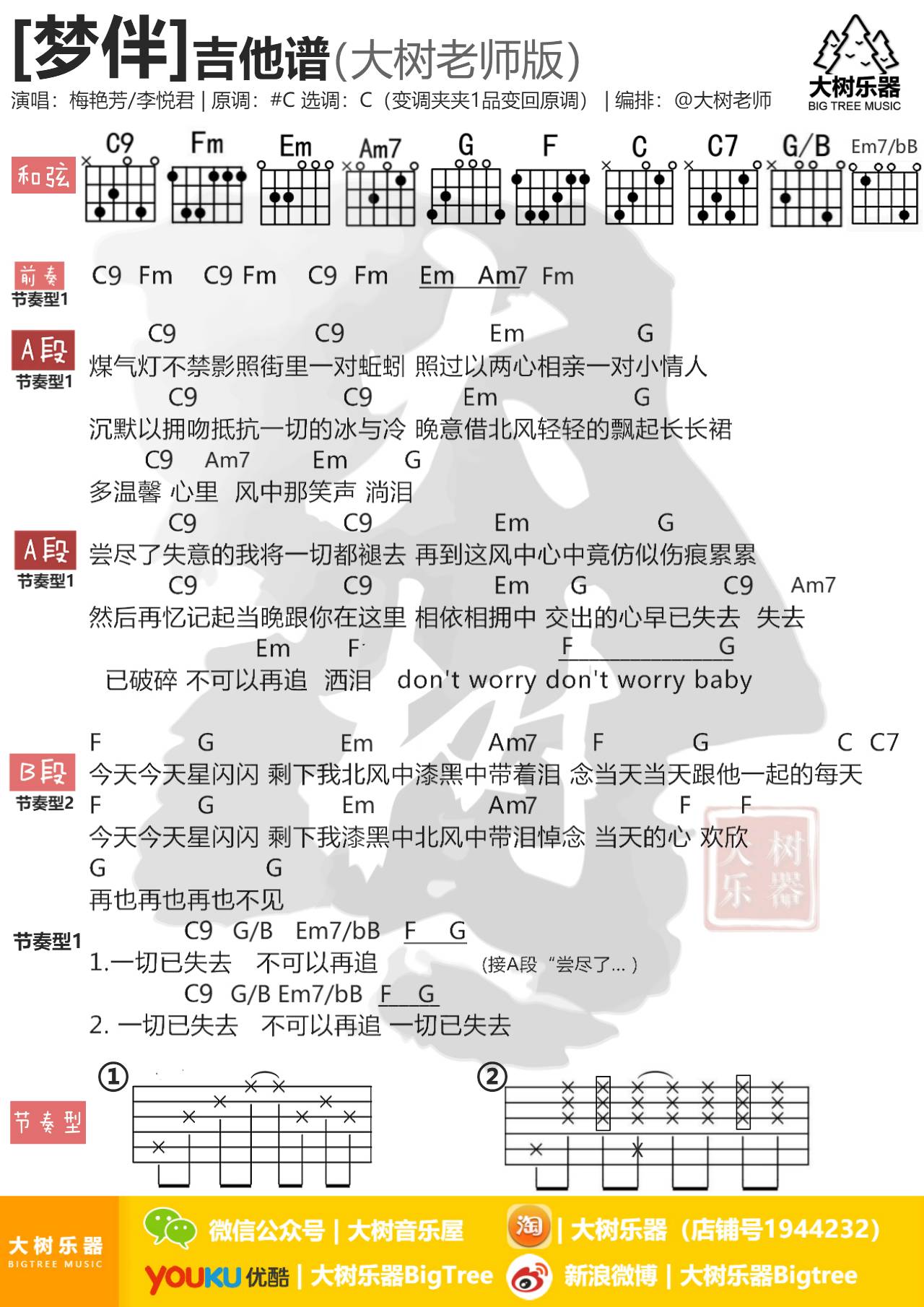 梦伴吉他谱_李悦君_大树音乐屋_C调