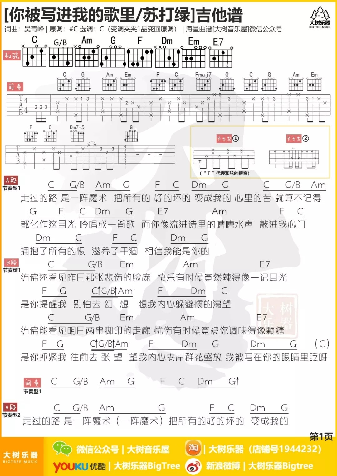 你被写进我的歌里吉他谱_苏打绿_大树音乐屋_C调