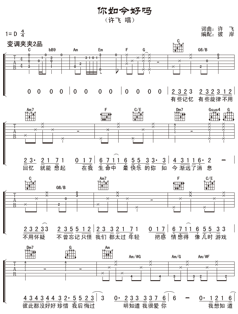 你如今好吗吉他谱_许飞_彼岸吉他_D调