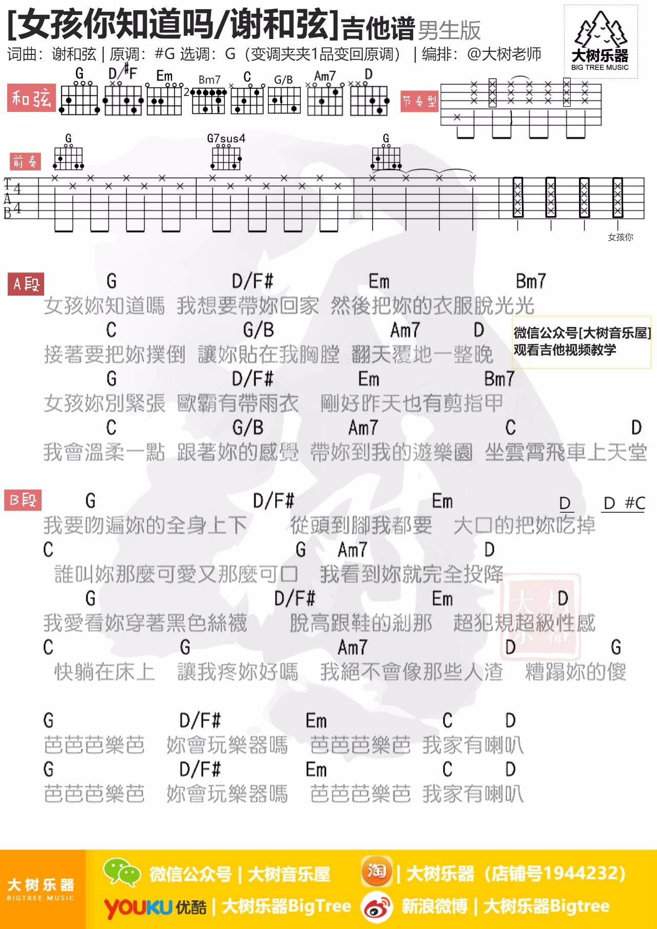 女孩你知道吗吉他谱_谢和弦_大树音乐屋_G调