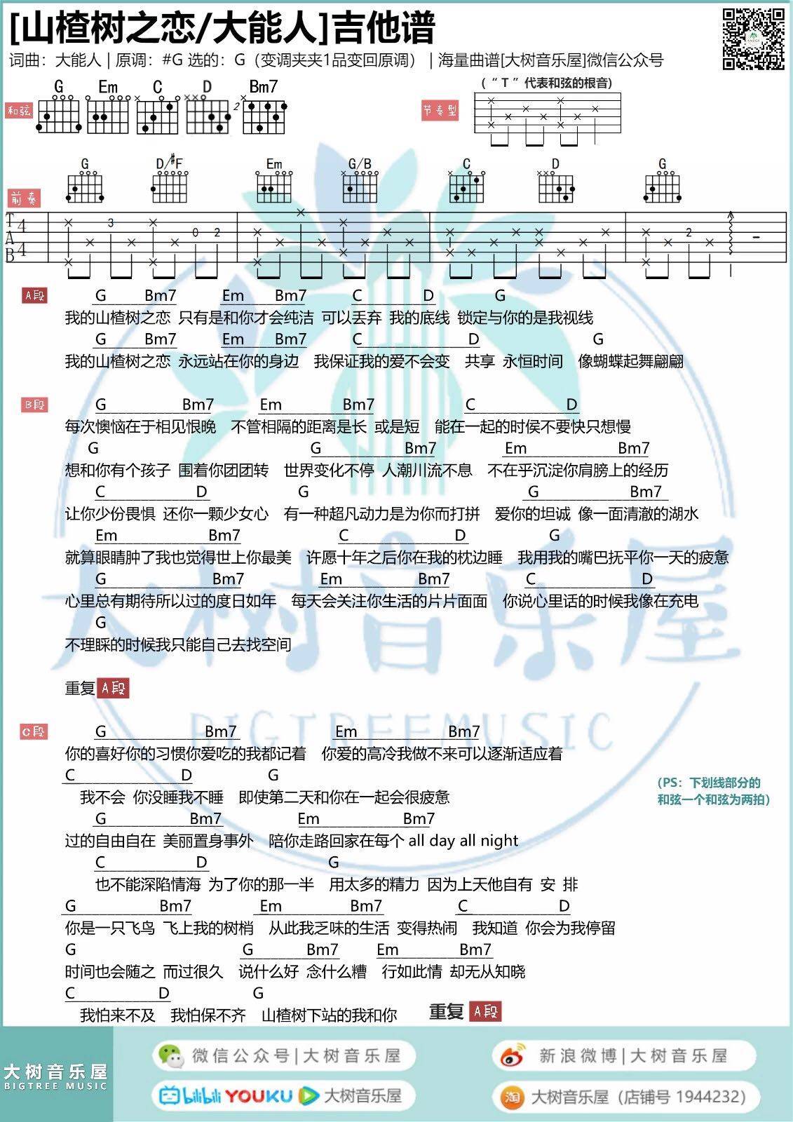 山楂树之恋吉他谱_大能人_大树音乐屋_G调