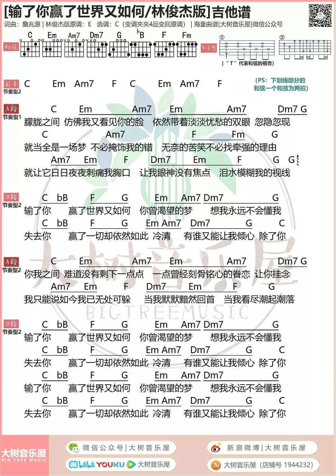 输了你赢了世界又如何吉他谱_林俊杰_大树音乐屋_C调