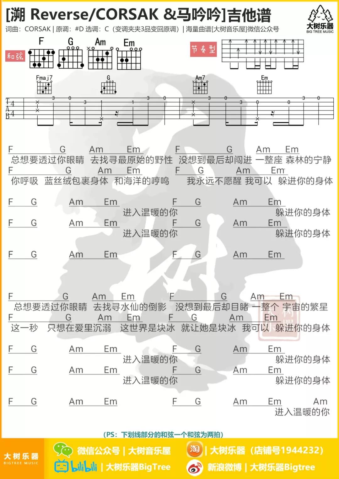 溯吉他谱_CORSAK_大树音乐屋_C调