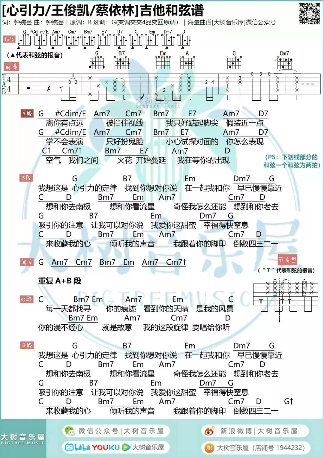 心引力吉他谱_蔡依林_大树音乐屋_G调
