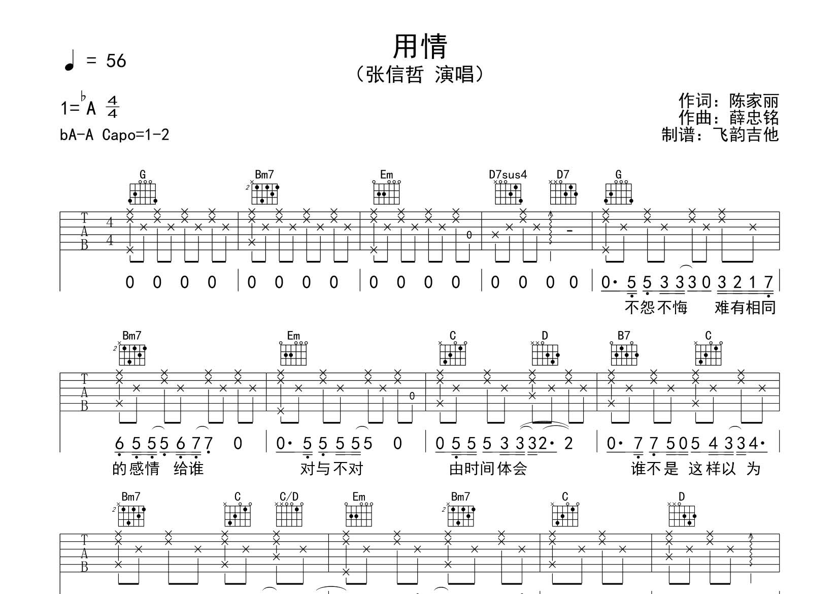 用情吉他谱_张信哲_飞韵吉他_G调